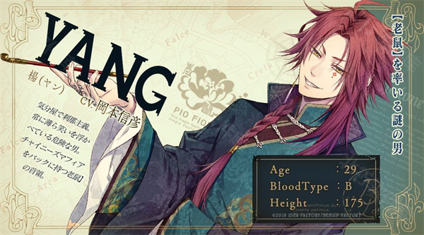 杨（Yang）