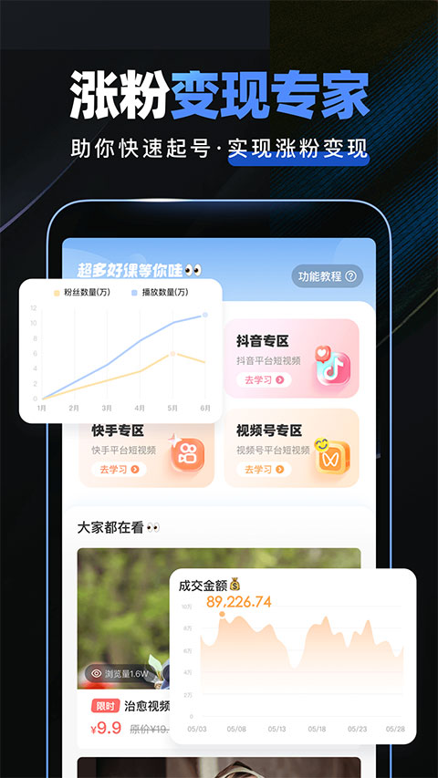 预览图4