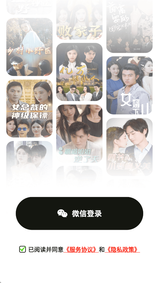 预览图2