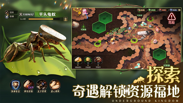 小小蚁国37官方下载 第1张图片