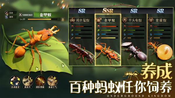 小小蚁国37官方下载 第2张图片