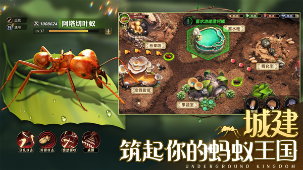 小小蚁国37官方下载 第4张图片