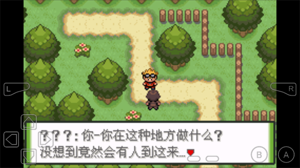 怎么玩4