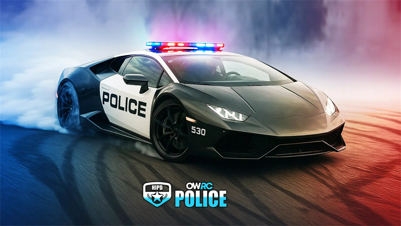 OWRC警察追逐模拟器无限金币版 第4张图片