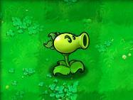 植物介绍截图