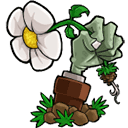植物大战僵尸重植版手机版 v1.3.7.0 安卓版