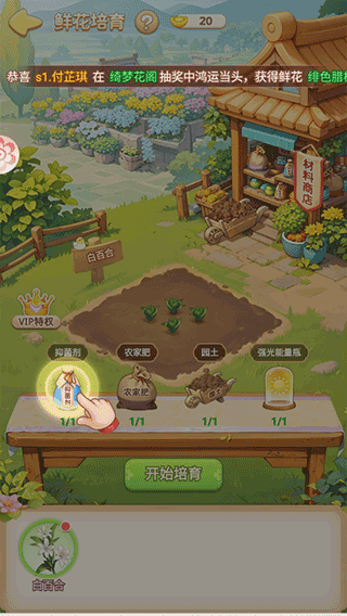 新手攻略3