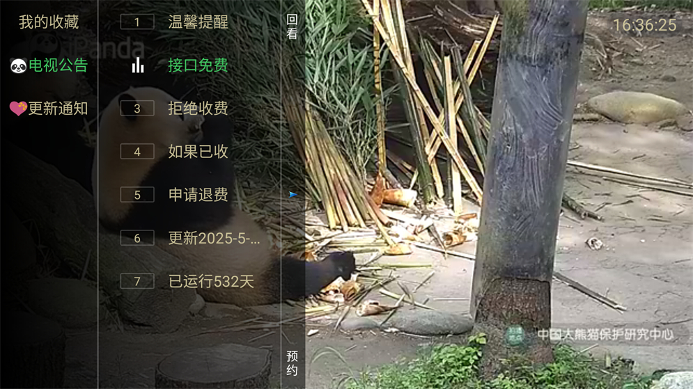 预览图6