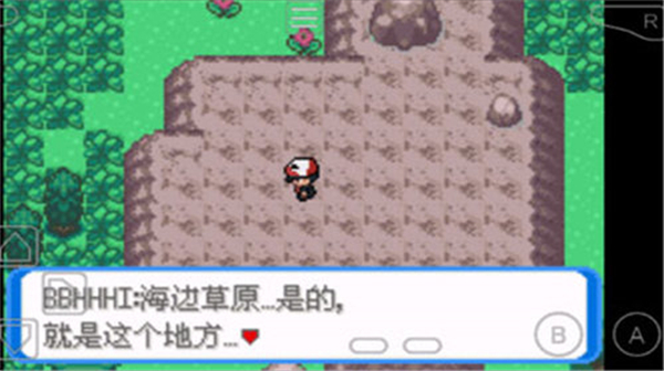 口袋妖怪圣灰内置修改器版 第3张图片