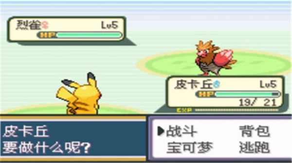 口袋妖怪圣灰内置修改器版 第1张图片