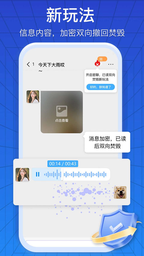 预览图4
