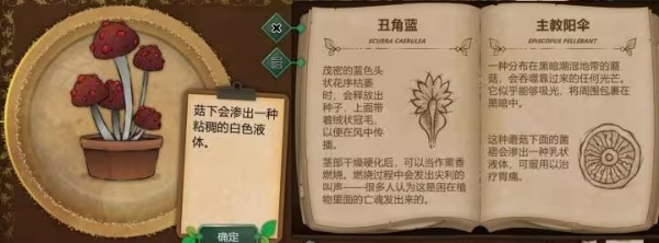主教阳伞