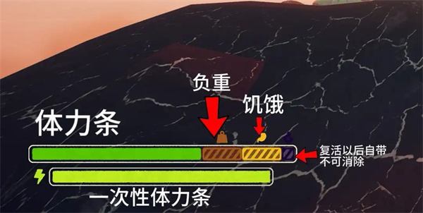 保姆级新手入门指南3