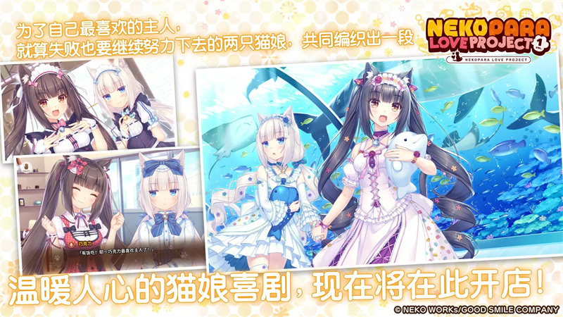 猫娘乐园破解版手游下载 第4张图片