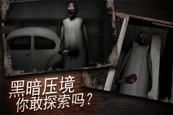 奶奶别追我手机版下载 第1张图片