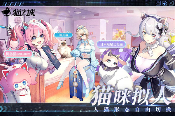 猫之城九游版下载 第5张图片