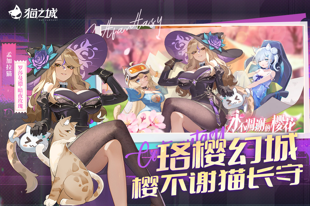 猫之城官方版 第4张图片