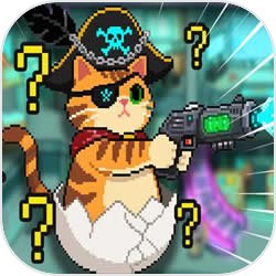 卵生猫之星际海贼团