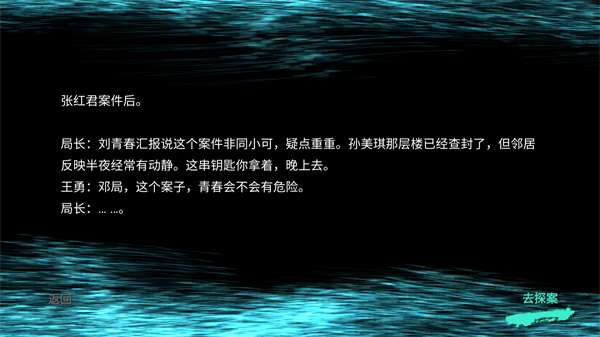 孙美琪疑案王勇手机版下载 第2张图片