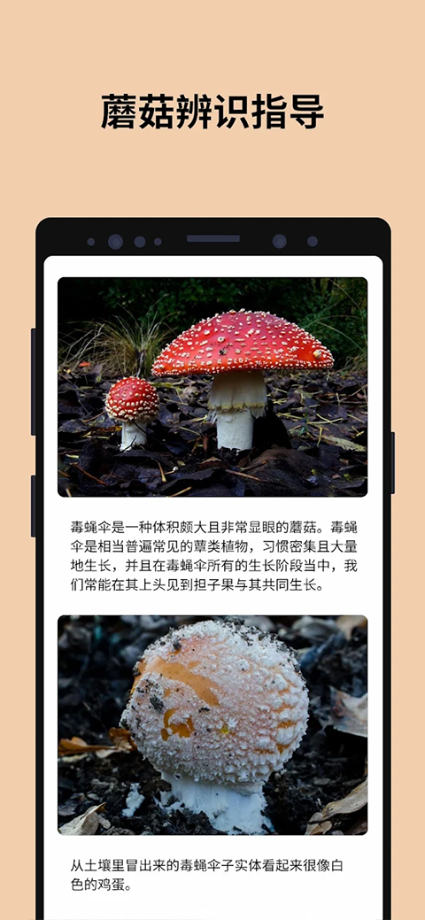蘑菇识别扫一扫app官方版下载 第4张图片