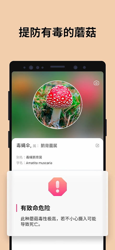 蘑菇识别扫一扫app官方版下载 第3张图片