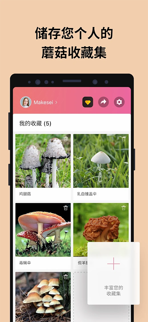 蘑菇识别扫一扫app官方版下载 第5张图片