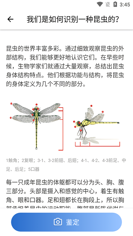 Picture Insect官方正版下载 第2张图片