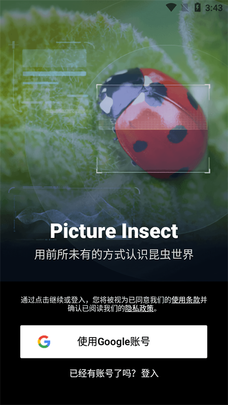 Picture Insect官方正版下载 第4张图片