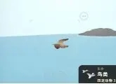 隐藏成就怎么完成截图10