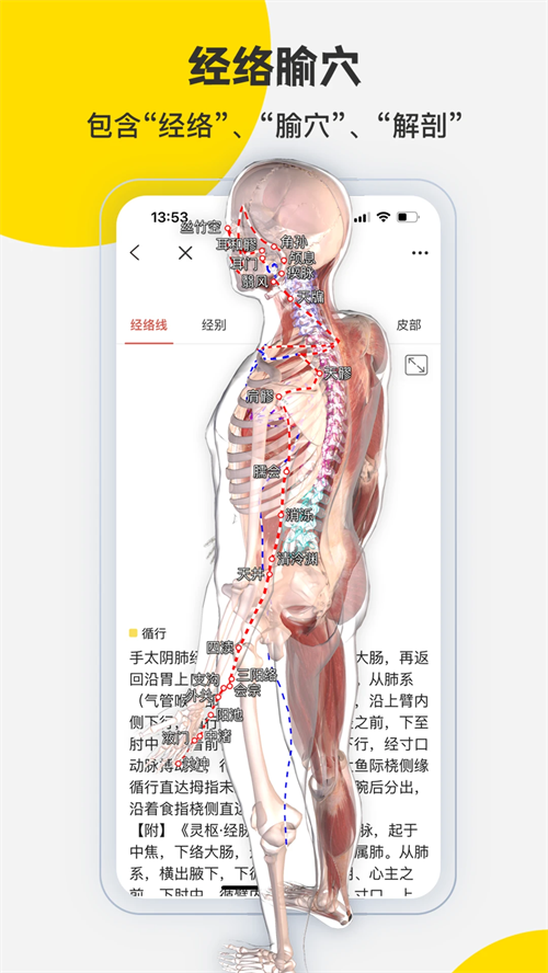 3Dbody官方正版下载 第3张图片