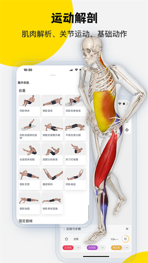3Dbody官方正版下载 第5张图片