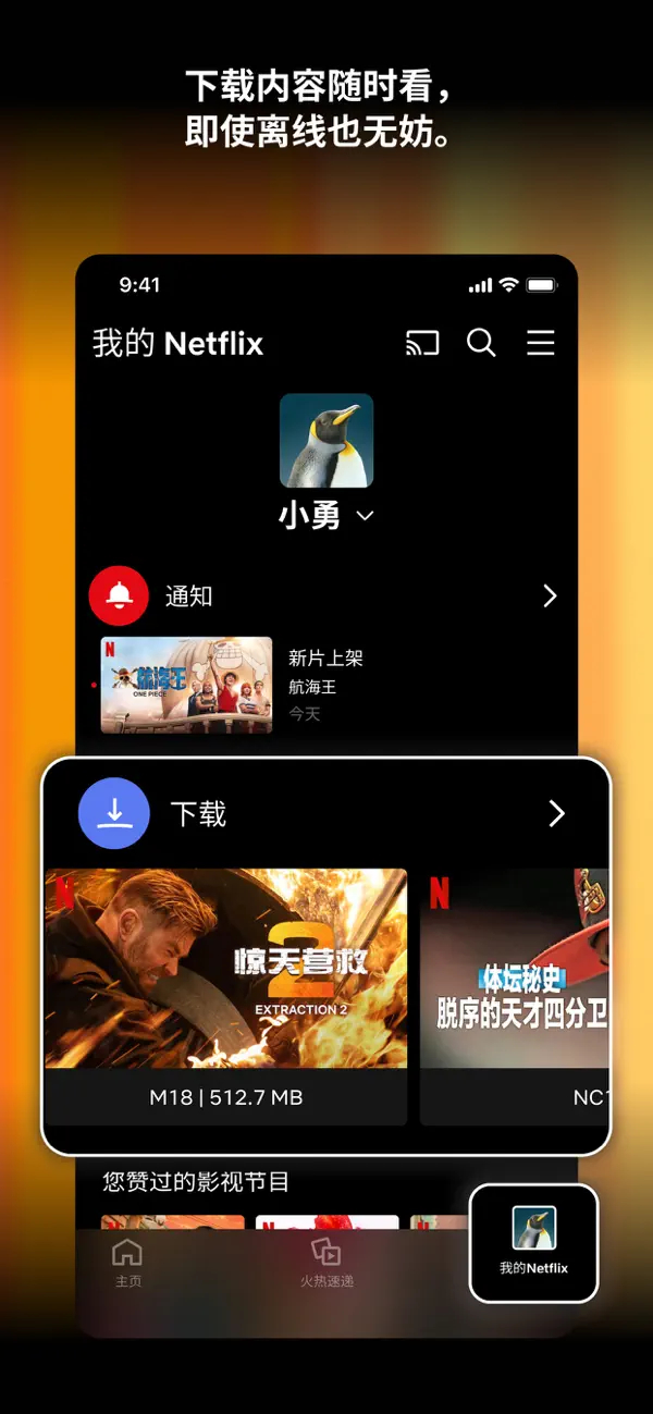 奈飞破解版TV解锁版 第3张图片