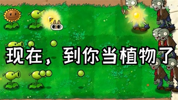 植物大战僵尸繁琐版下载安装 第2张图片