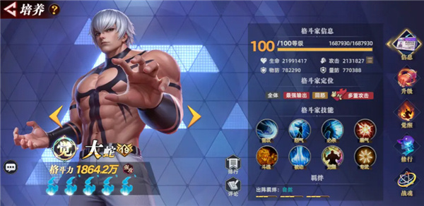 大蛇角色攻略1