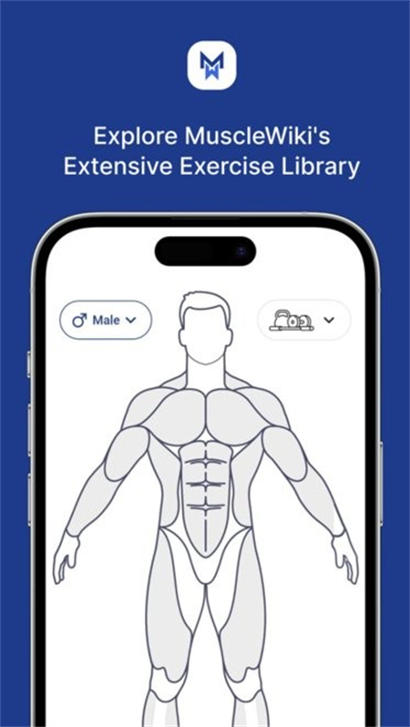 MuscleWiki官方中文版下载 第3张图片