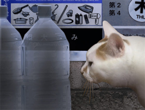 剧情寓意展示5