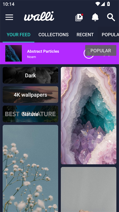 Walli壁纸App 第1张图片