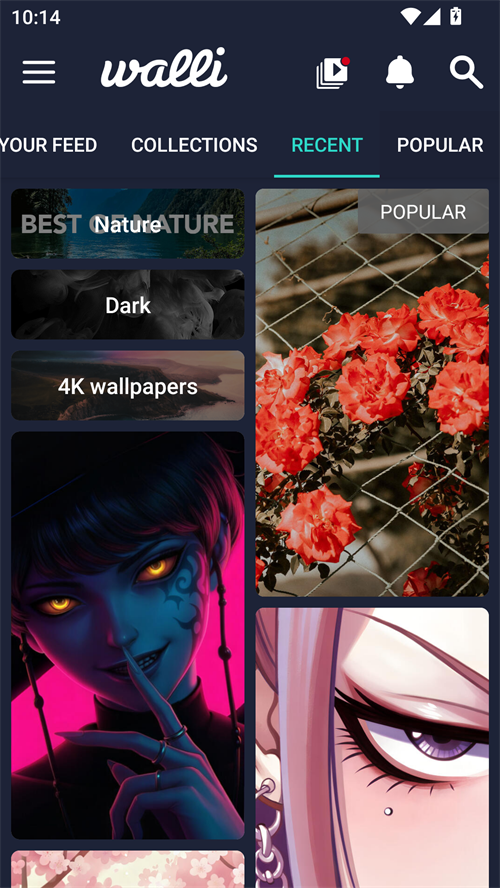 Walli壁纸App 第3张图片