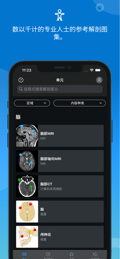e-Anatomy中文免费版下载 第4张图片