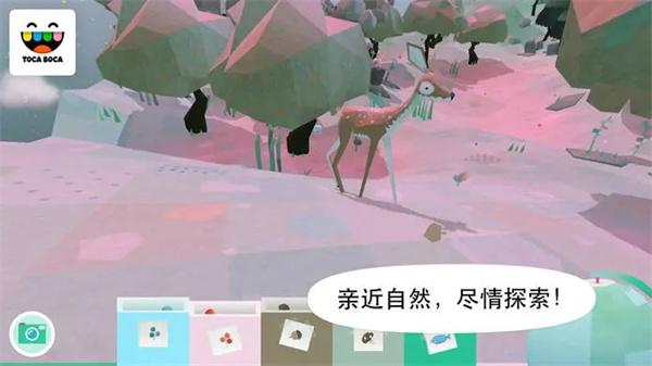 托卡大自然最新版下载 第4张图片