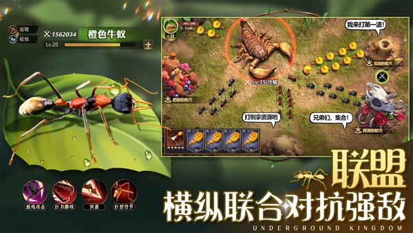 小小蚁国内购版 第3张图片