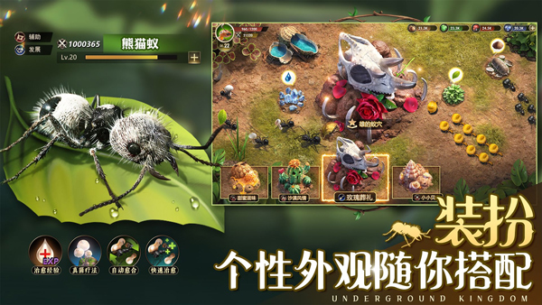 小小蚁国内购版 第4张图片