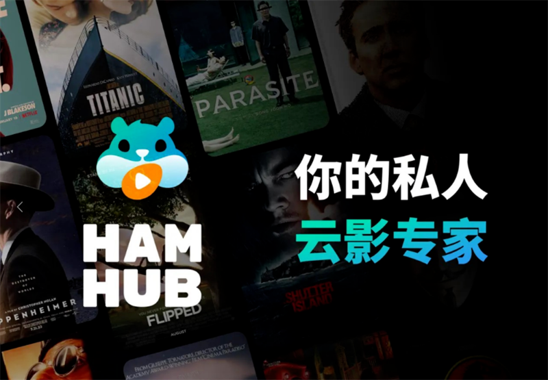 Hamhub安卓TV版 第4张图片