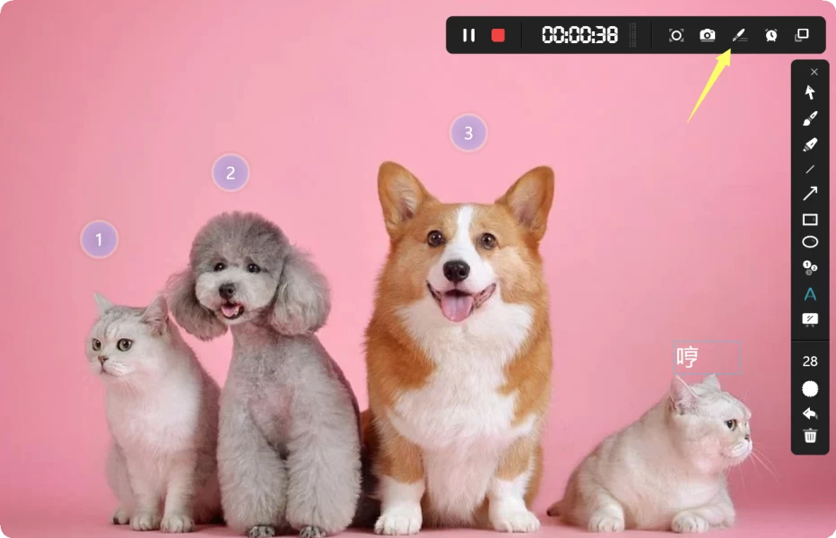 使用方法6