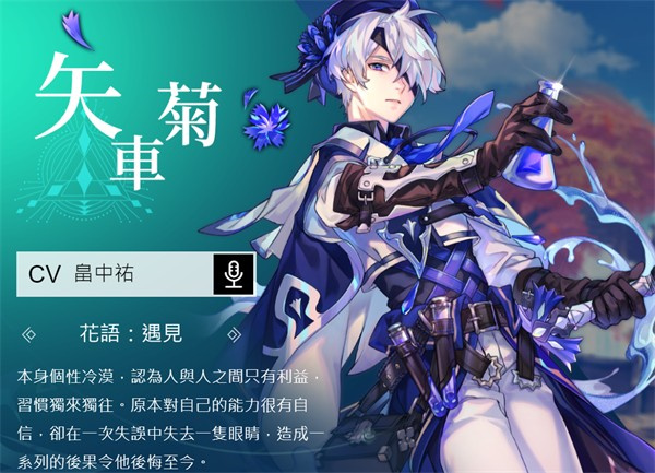 矢车菊