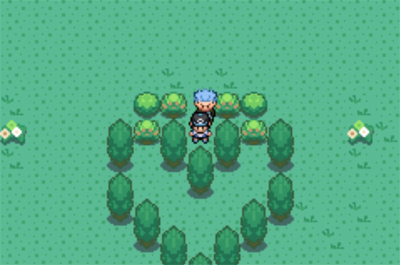 口袋妖怪日月宝石内置修改器 第3张图片