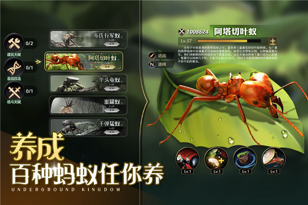 小小蚁国犀游版本 第5张图片