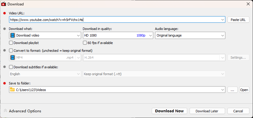 下载YouTube视频3