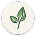 LeviLauncher启动器2025最新版下载 v1.1.6 安卓版