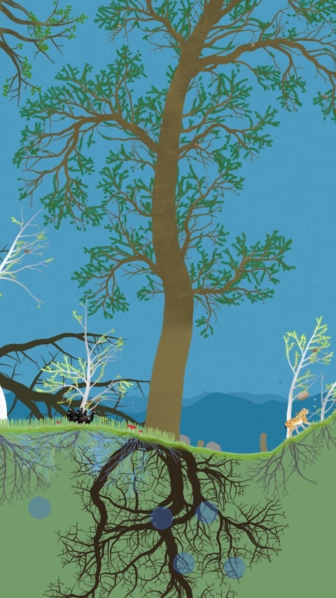 小松林免费版下载 第3张图片